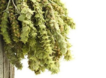 Herbs & Mountain Teas